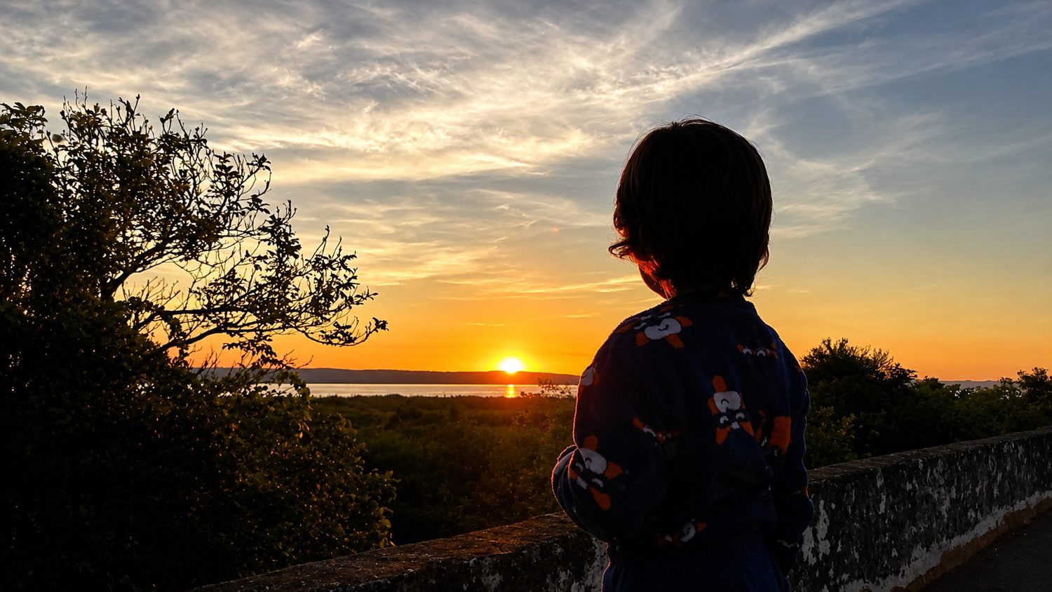 Cazando el amanecer