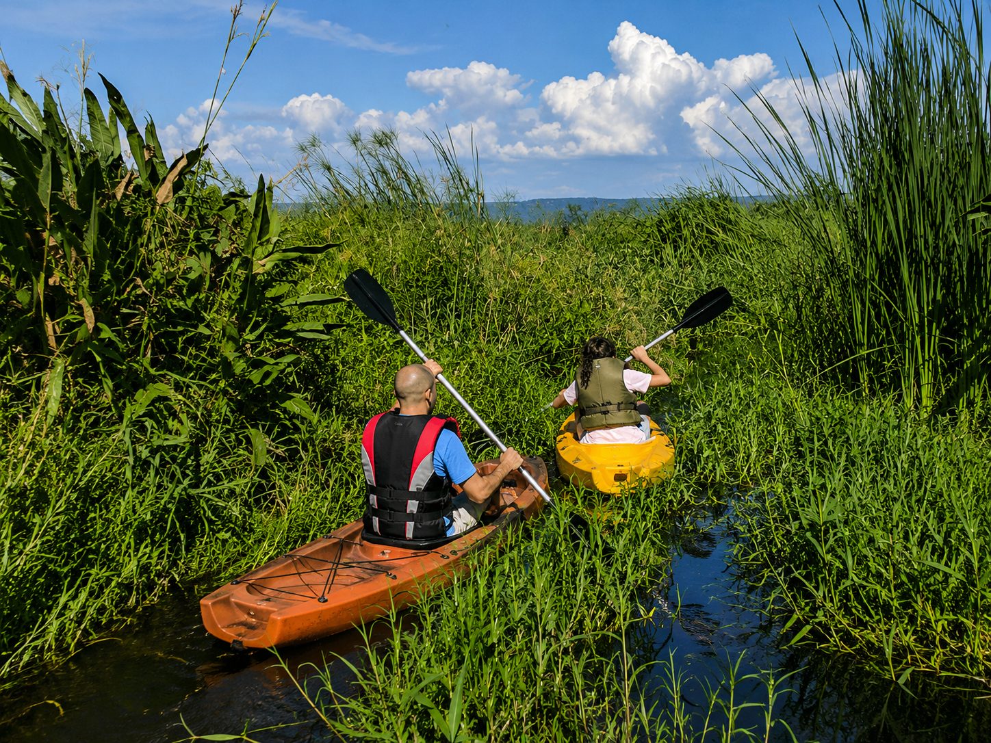 Explorando en kayak
