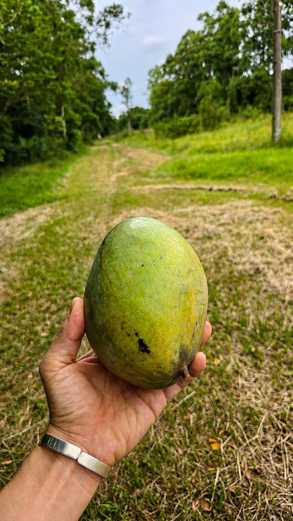 Frutos del lugar