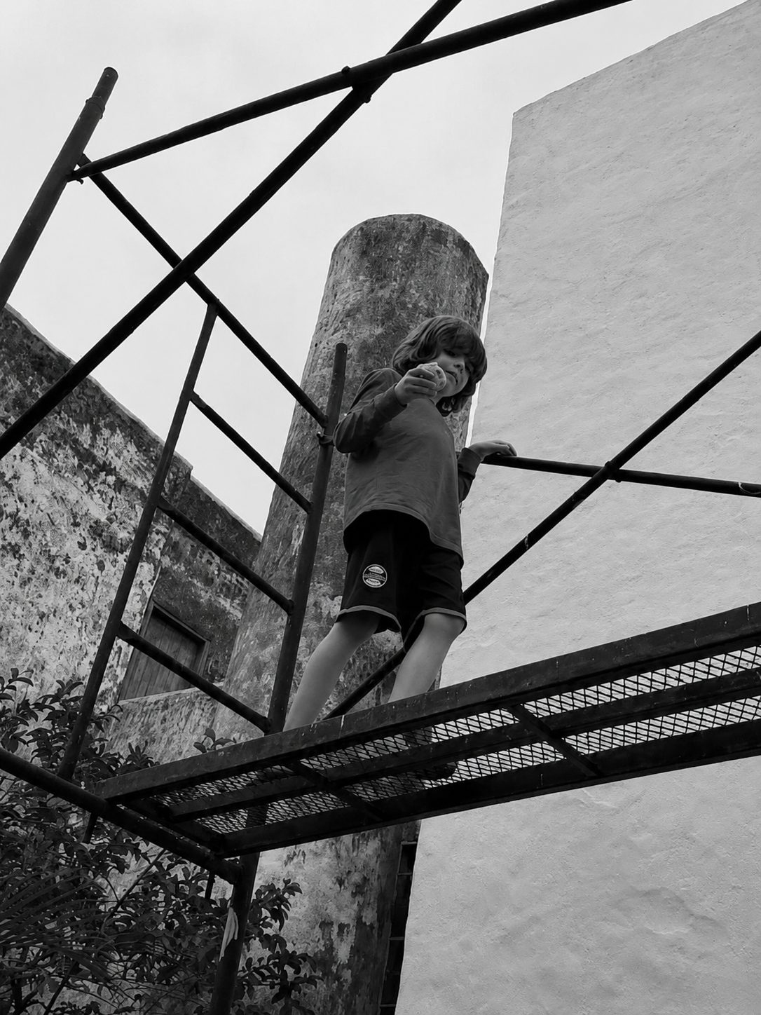 Trepando la torre