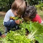 @espiral.jardin.de.infancia