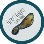 @secretforestplayschool
